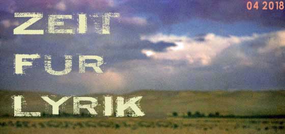 Poetische Erkundung der Welt: Nico Bleutge: Nachts leuchten die Schiffe