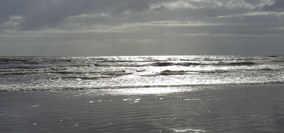 Wolfgang Marx Am grauen Meer