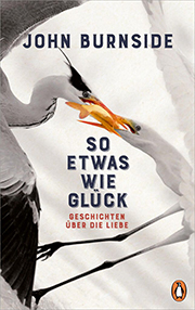 Burnside So etwas wie Glueck COVER