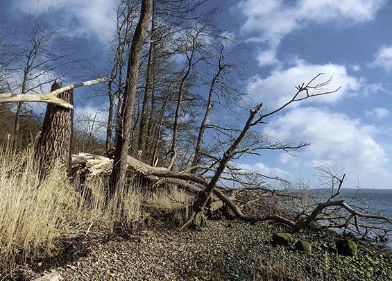 Flensburg 02 Bei Holnis F Demiahl