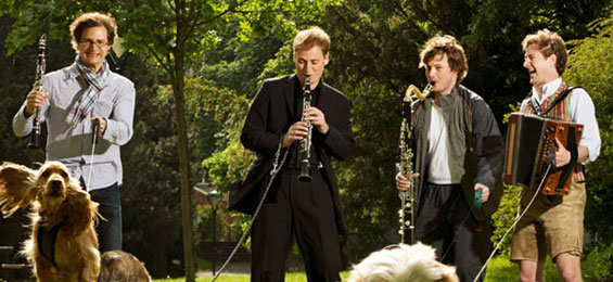 Faltenradio: Zoo live