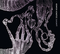 Kemaca Kinetic Zukunft COVER