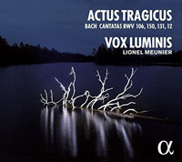 Vox Luminis Cover