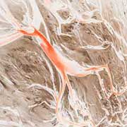 Peter Gregson Patina AV COVER