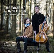 The Brahms Connection Cover
