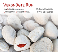 Jan Boerner Vergnuegte Ruh COVER