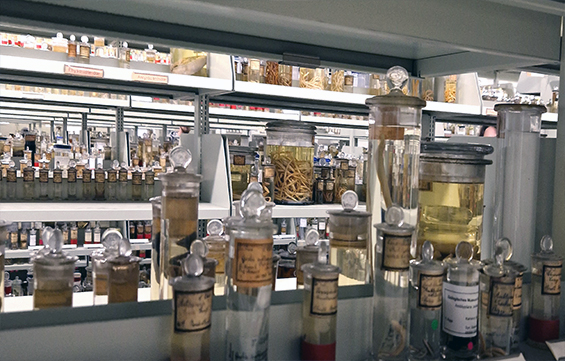 LNdM 2023 04 Schmarotzer