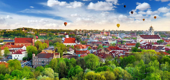 www.govilnius.lt
