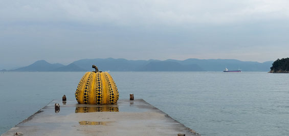 Yellow Pumpkin Foto marcard pro arte