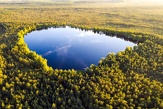 Litauen im .Herbst 01 Mūša Tyrelis Cognitive Walkway F Giedrius Akelis