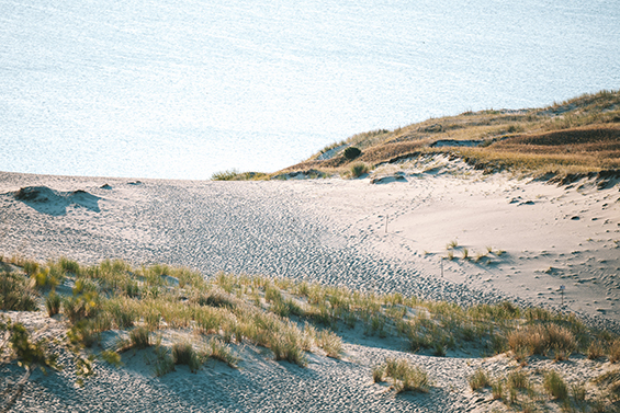Litauen im Herbst 03 Duenen in Nida F Andrius Aleksandravičius