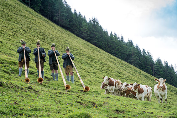 SL 05 almkultur F Michael Geissler