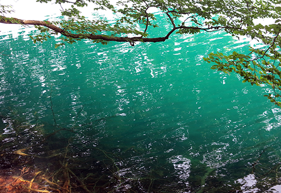 Füssen 04 Foggensee F Marc Peschke