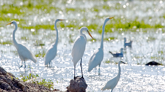 Nevada 02 Stillwater