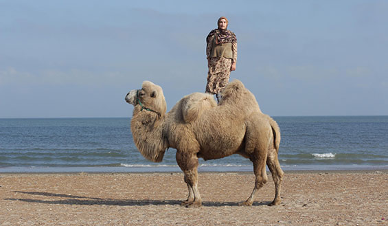 Wien 07 weltmuseum super taus and a camel yasha c Photography Imam Guseinov Special thanks to Dzhamilya Dagirova Naida Omarova Commissioned by RD Magazine