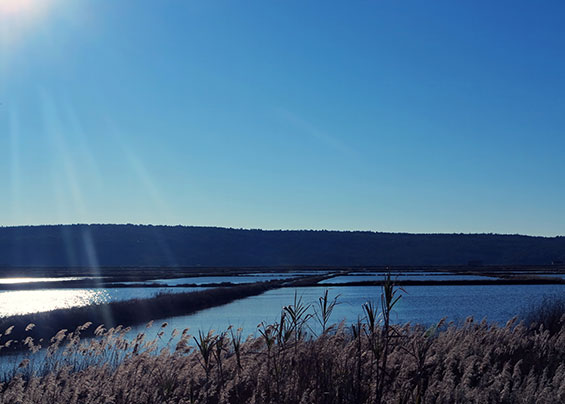 Slowenien 07 Salinen von Sečovlje F Marc Peschke
