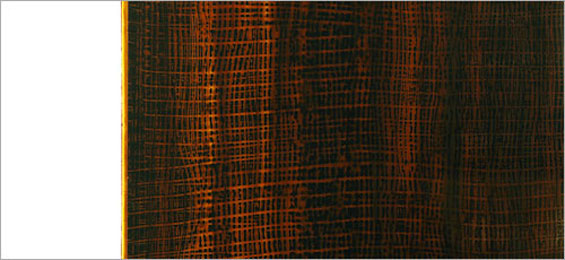 Kunst und Kultur - kurz vorgestellt: Die Bilderwelt des Friedrich Eigner