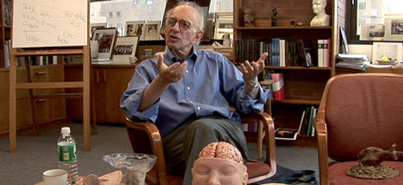 Auf der Suche nach dem Gedächtnis - Ein Film von Petra Seeger über den Hirnforscher und Nobelpreisträger Eric Kandel