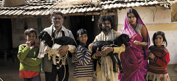 Irgendwo in Indien - Live aus Peepli