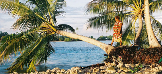 Klimawandel als Filmthema: There Once Was An Island