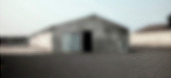 Wir sind alle anders: Edith Bruck zum Trauma der Shoah im dritten Jahrtausend