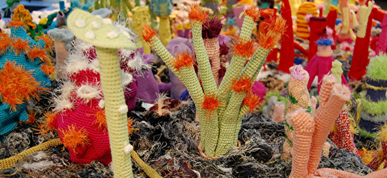 „Zur Nachahmung empfohlen – Expeditionen in Ästhetik und Nachhaltigkeit“