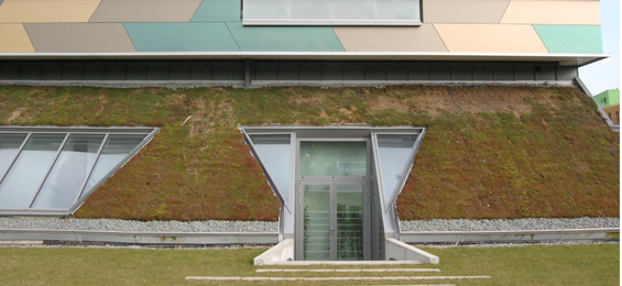 Internationale Bauausstellung (IBA) Hamburg: Ein Rundgang über Baustellen