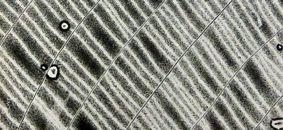 Jochen Lempert in der Overbeck-Gesellschaft Lübeck