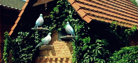 „Fahr zur Hölle“ – Operation Taubenhaus, ein Kriminalroman von CarlOtto