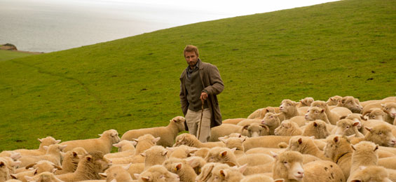 Am grünen Rand der Welt Film Trailer.
