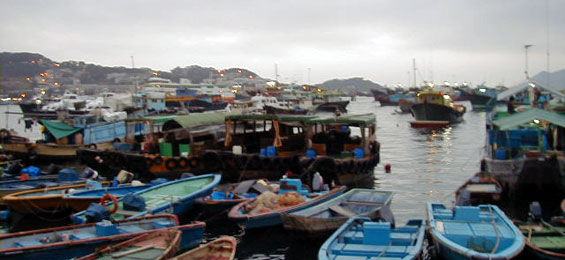 Nach Fukushima. Zur Uraufführung der Oper „Stilles Meer“ von Toshio Hosokawa