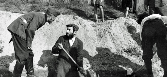 Zwangsarbeit. Die Deutschen, die Zwangsarbeiter und der Krieg