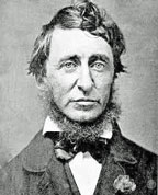 Portrait by Benjamin D. Maxham (daguerreotype), black and white of Henry David Thoreau in June 1856. The writer-collar post a beard and is dressed in a black frock coat, a white shirt and a black bow tie.