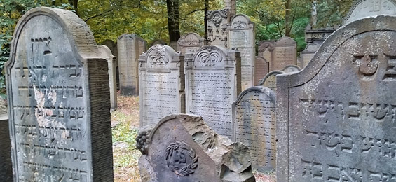Jüdische Friedhofskultur in Hamburg: Der Jüdische Friedhof Hamburg-Altona