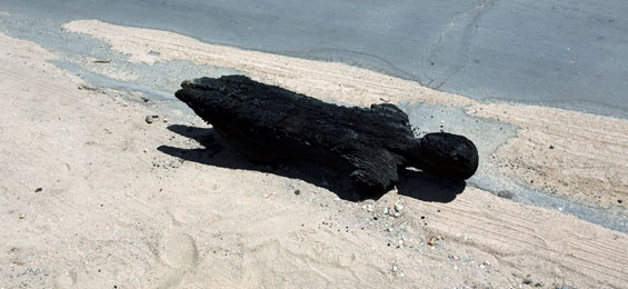 Viviane Sassen – Umbra