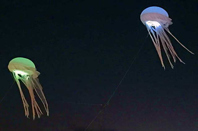 Leuchtdrachen Quallen