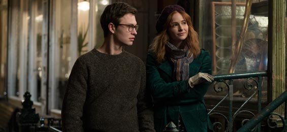 der distelfink goldfinch