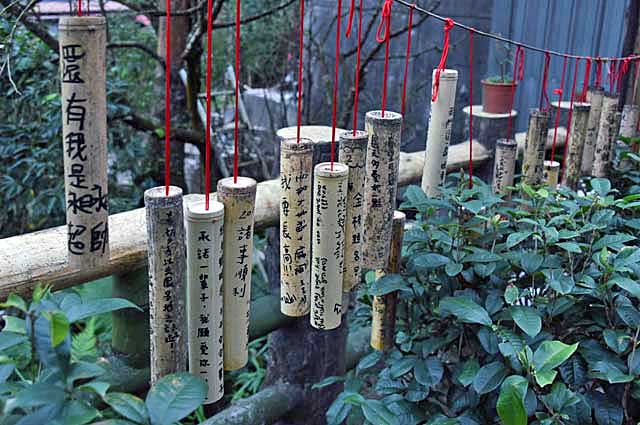 Pingxi – Bambus der Wünsche