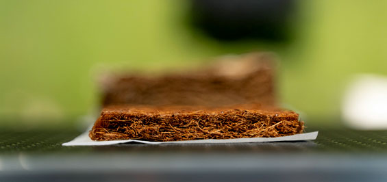 Tallinn Design Festival Future Materials