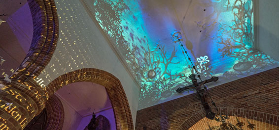 Katrin Bethge Lichtdurchflutet Foto John Eckhardt