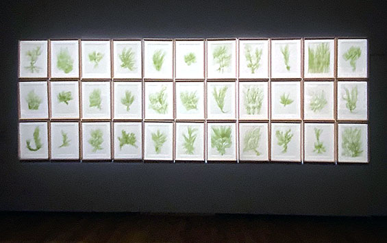 ER 08 Giuseppe Penone F Dagmar Reichardt