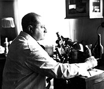 Gottfried Benn Bundesarchiv