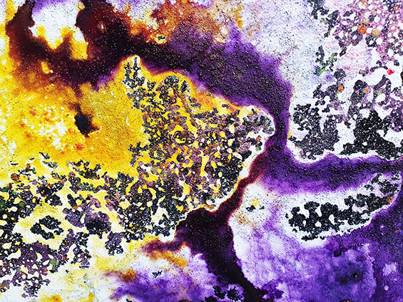 MDA 1 WieAllesBegann C Tanja Hehmann Salz in der Ursuppe Foto Tanja Hehmann