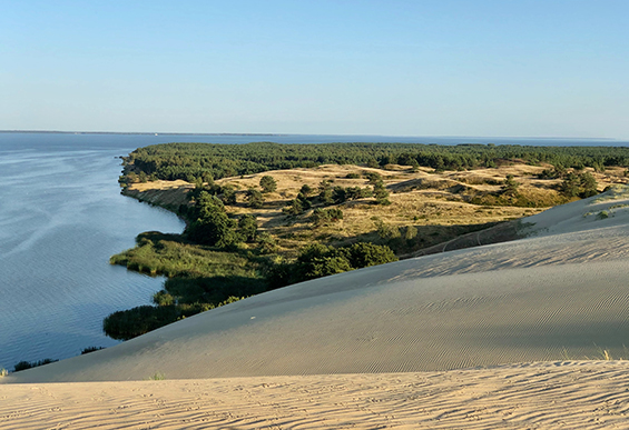 Nidden 01 Blick von der großen Duene F Rolandas unsplash