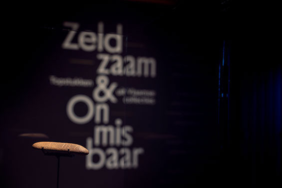 SeltenUnverichtbar 01 Kieselstein in Vitrine C MAS