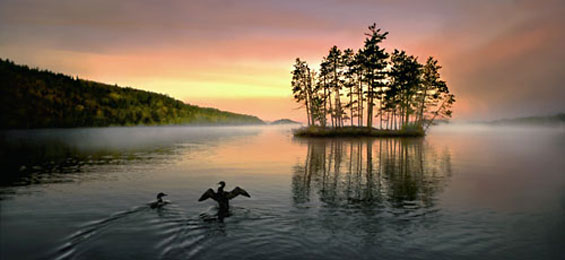 Ein ganz besonderer Naturfotograf: Jim Brandenburg