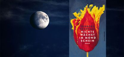 Torborg Nedreaas: „Nichts wächst im Mondschein“